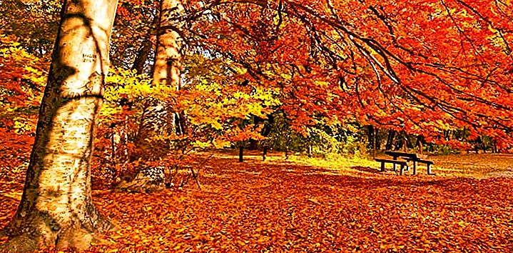 놀라운 10 월! 전 세계의 가을 목적지를 방문해야합니다.