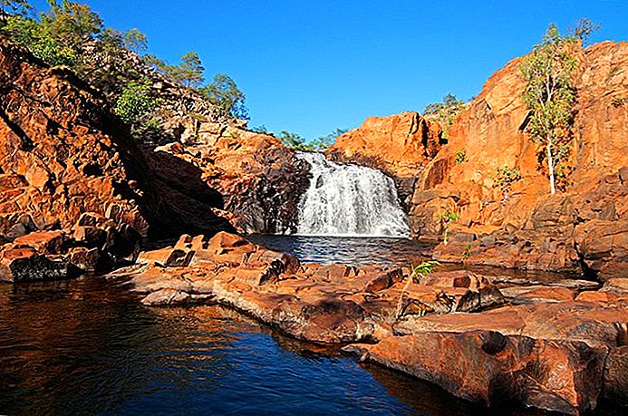 Besøk Kakadu National Park fra Darwin: Attraksjoner, Tips og turer